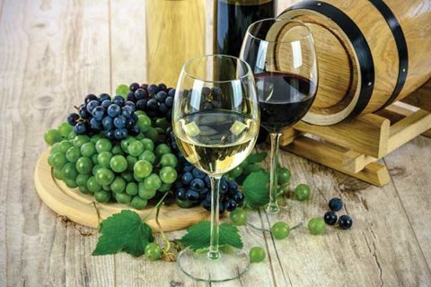 Wine Lists & Wine Tastings: Από Συμπλήρωμα Καταλόγου σε Στρατηγικό Εργαλείο Απόδοσης