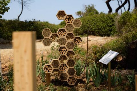 Το Sani Resort παρουσιάζει το μεγαλύτερο Bee Spot στην Ελλάδα, ενισχύοντας τις βιωματικές, οικολογικές εμπειρίες των επισκεπτών