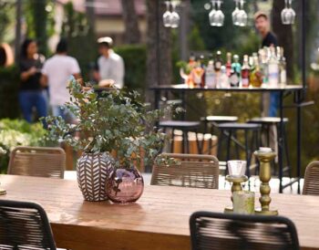 Opening στον καταπράσινο κήπο του Domotel Kastri Domotel-Kastri-Gardens-3